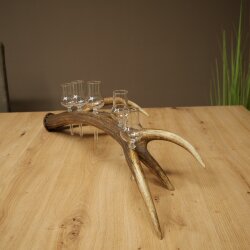 Schnapsanbieter 5 x kleine Gläser Steckglas mit Stiel auf Rothirschstange Geschenk 27.60.2.97