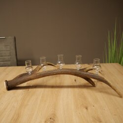 Schnapsanbieter 5 x kleine Gläser Steckglas mit Stiel auf Rothirschstange Geschenk 27.60.2.97