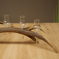 Schnapsanbieter 5 x kleine Gläser Steckglas mit Stiel auf Rothirschstange Geschenk 27.60.2.97