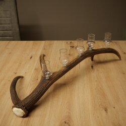 Schnapsanbieter 5 x kleine Gläser Steckglas mit Stiel auf Rothirschstange Geschenk 27.60.2.97