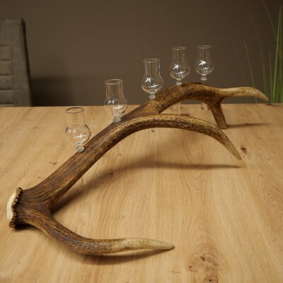 Liqueur Set: 5 Small Stemmed Glasses on a Red Deer Antler Stand – Gift 27.60.2.98
