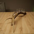 Liqueur Set: 5 Small Stemmed Glasses on a Red Deer Antler Stand – Gift 27.60.2.98