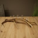 Liqueur Set: 5 Small Stemmed Glasses on a Red Deer Antler Stand – Gift 27.60.2.98