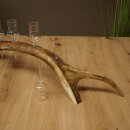 Liqueur Set: 5 Small Stemmed Glasses on a Red Deer Antler Stand – Gift 27.60.2.98