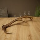Liqueur Set: 5 Small Stemmed Glasses on a Red Deer Antler Stand – Gift 27.60.2.98
