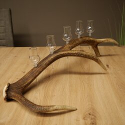 Liqueur Set: 5 Small Stemmed Glasses on a Red Deer Antler Stand – Gift 27.60.2.98