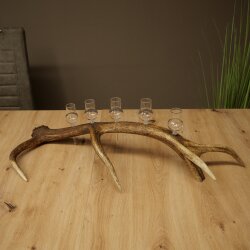 Liqueur Set: 5 Small Stemmed Glasses on a Red Deer Antler Stand – Gift 27.60.2.98