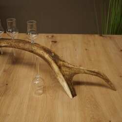 Liqueur Set: 5 Small Stemmed Glasses on a Red Deer Antler Stand – Gift 27.60.2.98