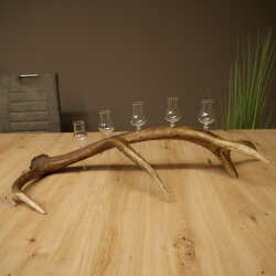 Liqueur Set: 5 Small Stemmed Glasses on a Red Deer Antler Stand – Gift 27.60.2.98