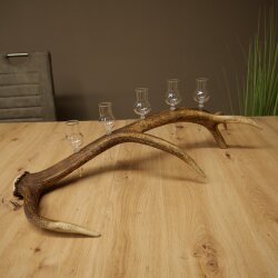 Liqueur Set: 5 Small Stemmed Glasses on a Red Deer Antler Stand – Gift 27.60.2.98