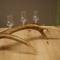 Liqueur Set: 5 Small Stemmed Glasses on a Red Deer Antler Stand – Gift 27.60.2.98