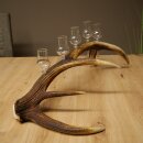 Set da liquore: 5 bicchierini con stelo su un corno di...