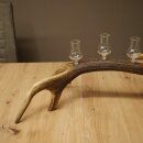 Set da liquore: 5 bicchierini con stelo su un corno di...