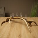 Liqueur Set: 5 Small Stemmed Glasses on a Red Deer Antler Stand – Gift Set 27.60.2.99