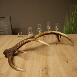 Liqueur Set: 5 Small Stemmed Glasses on a Red Deer Antler Stand – Gift Set 27.60.2.99