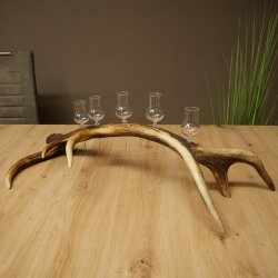 Liqueur Set: 5 Small Stemmed Glasses on a Red Deer Antler Stand – Gift Set 27.60.2.99
