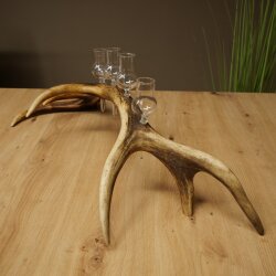 Liqueur Set: 5 Small Stemmed Glasses on a Red Deer Antler Stand – Gift Set 27.60.2.99