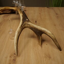 Liqueur Set: 5 Small Stemmed Glasses on a Red Deer Antler Stand – Gift Set 27.60.2.99