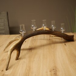 Liqueur Set: 5 Small Stemmed Glasses on a Red Deer Antler Stand – Gift Set 27.60.2.99