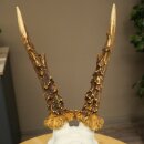 Rehbock Reh Gewicht 320 g Bock Geweih Rehgeweih auf Trophäenschild 608.155