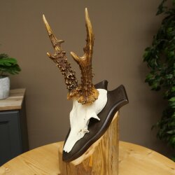Rehbock Reh Gewicht 320 g Bock Geweih Rehgeweih auf Trophäenschild 608.155