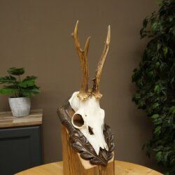 Rehbock Rehgeweih Reh Bock Geweih auf geschnitztem Trophäenschild 604.179
