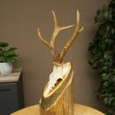 Roe Deer Antlers, Weight 255g, Roe Buck Antlers on Acacia...