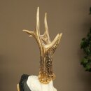 Cuernos de corzo, cuernos de ciervo, trofeo de corzo macho en placa de trofeo tallada 606.153