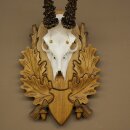 Rehgeweih Reh Gehörn Bock Rehgehörn Geweih auf geschnitztem Trophäenschild 609.103