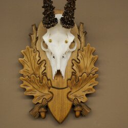 Rehgeweih Reh Gehörn Bock Rehgehörn Geweih auf geschnitztem Trophäenschild 609.103