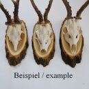 Akazien Schilder 5 er Set Reh Bock Trophäenschilder AF 19 cm Rehbock Schild Baumschild