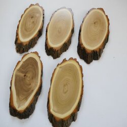 Akazien Schilder 5 er Set Reh Bock Trophäenschilder AF 19 cm Rehbock Schild Baumschild