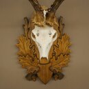 Roe Deer Antlers, Weight 310g, Roe Deer Antlers, Buck, Carved Trophy Shield 609.105