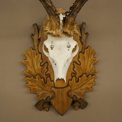 Roe Deer Antlers, Weight 310g, Roe Deer Antlers, Buck, Carved Trophy Shield 609.105