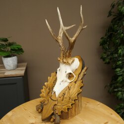 Roe Deer Antlers, Weight 310g, Roe Deer Antlers, Buck, Carved Trophy Shield 609.105