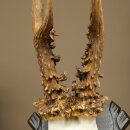 Rehgeweih Gewicht 295 g Reh Gehörn Bock Rehgehörn Geweih geschnitztem Trophöenschild 609.110