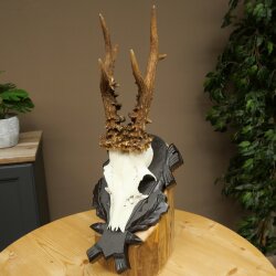Rehgeweih Gewicht 295 g Reh Gehörn Bock Rehgehörn Geweih geschnitztem Trophöenschild 609.110