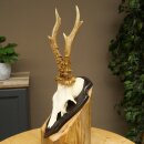 Rehbock Reh Bock Geweih Rehgeweih auf Trophäenschild...