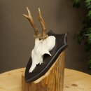 Deer Antlers, Deer Horns, Antler Stags, Stags, Trophy...