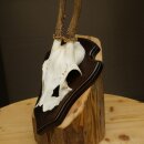 Reehoorn Reehoorns Hoorns Reestangen Stangen Trofeeschild 602.389