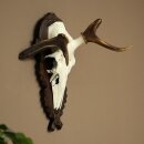 Rothirschgeweih abnormer Hirsch Hirschgeweih Geweih auf geschnitztem Trophäenschild
