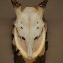 Damhirsch Geweih Höhe 33 cm Dam Hirsch Hirschgeweih auf Birkeschild 72.557