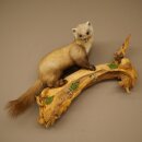 Marder Steinmarder Präparat Deko Höhe 50 cm Tierpräparat 89.5.246