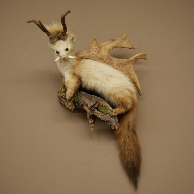 Wolpertinger: martora con denti a forma di corna di capriolo, corna di daino, acconciatura punk, esemplare imbalsamato, altezza 56 cm