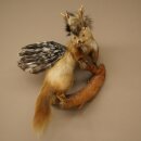 Wolpertinger Fabelwesen Marder mit Rehgeweih Flügel Punkfrisur Wolpi Präparat Höhe 59 cm