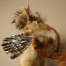 Wolpertinger Fabelwesen Marder mit Rehgeweih Flügel Punkfrisur Wolpi Präparat Höhe 59 cm
