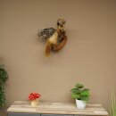 Wolpertinger Fabelwesen Marder mit Rehgeweih Flügel Punkfrisur Wolpi Präparat Höhe 59 cm