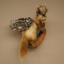 Wolpertinger Fabelwesen Marder mit Rehgeweih Flügel Punkfrisur Wolpi Präparat Höhe 59 cm