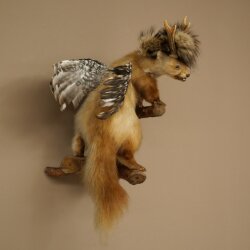 Wolpertinger Fabelwesen Marder mit Rehgeweih Flügel Punkfrisur Wolpi Präparat Höhe 59 cm