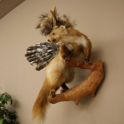 Wolpertinger Fabelwesen Marder mit Rehgeweih Flügel Punkfrisur Wolpi Präparat Höhe 59 cm